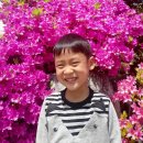 룸비니전원유치원 이미지