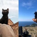 부부슈퍼마켓 이미지