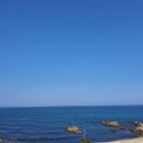 범골토종닭 이미지