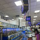 탐나전복