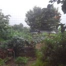 정다운민박 이미지