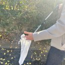 창원천 | 창원천에서 플로깅을 (2025.11.22.)