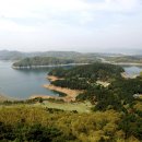 청남대 진입로 이미지