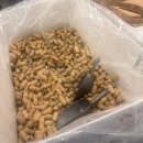 용산 아이파크몰 맛집 파이브가이즈 여전히 핫한 내돈내산 햄버거 후기