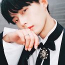 굿나이