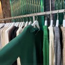 아산5호 이미지