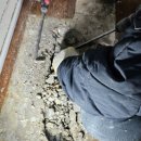 신우종합건설㈜ | 도봉구누수문제는 신우 누수탐지 종합설비에서 해결!!