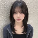 오디크 이미지