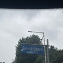 농수산물도매시장 | [블챌] 가을 제철 전어&amp;생새우 득템✨ 안양 농수산물 도매시장 후기