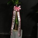민재스포츠 이미지