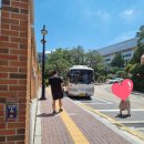 대풍약국 이미지