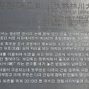 임천대교비 티스토리