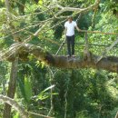 블루라군 이미지