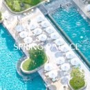 A Spirit of Journey(에이 스피릿 오브 저니) 이미지