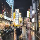 태일산업[구, 만석기업] | 일본 도쿄 신주쿠 가부키초 밤거리 야경/토호 빌딩 고질라 쇼, 마루한 파친코