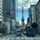 법대로 | 일본 도쿄 여행 우버택시 내돈내산 후기 (+사용법)