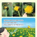 자연본심 네이버블로그