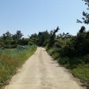 상예동-7 이미지