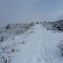 ※ 제 83차 정기산행 함백산 咸白山(1572.9m).....(강원, 영월/정선/태백시) 이미지