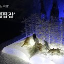 (주)유리섬 이미지