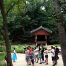 왕의 정원 | 궁궐 여행] 창덕궁 후원 (비원) 관람 후기 – 조선 왕의 정원 부용지와 규장각, 애련지와 관람정, 동...