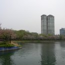 @ 도심 속에 자리한 그림 같은 호수, 잠실 석촌호수 봄꽃 나들이 (송파나루공원, 삼전도비) 이미지
