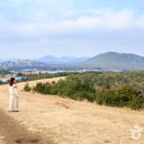 제주 자연속에서 이미지
