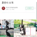 팍스도그트레이닝센터 이미지