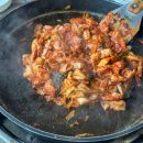 친구들과 남이섬 여행기 (바이올린글램핑&amp;카라반, 강산골숯불닭갈비, 남이섬 카페 서담, 남이섬 깡타의 집)