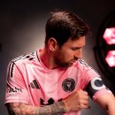 마이애미 이미지