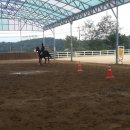 중남초등학교 이미지