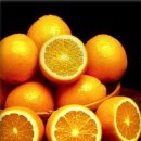 오렌지 이미지