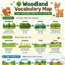 숲 in the grove | woodland는 단순히 ‘숲’ ? woods / forest / grove와 함께 비교