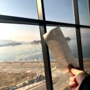 바다가보이는 영화관_삼천포메가박스/상주은모래비치/시장_회포장, 갑오징어 숙회/삼천포숙이네한정식