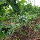 한옥스테이현덕씨네 이미지