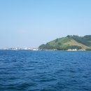 비양도의 비양나무자생지 | 섬속의 섬 ‘비양도’