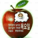 목터져라 이미지