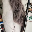 수선과 세탁 이미지