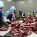 정복농장 이미지