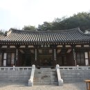 세일사 티스토리