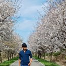 청미천 네이버블로그