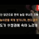 李정권 때문에 호남이 무너진다! 판다로 얼버무려... ﻿이봉규TV 이미지