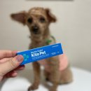 에이치바이오메디칼 이미지