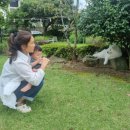 바티하우스 이미지