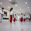 고려용호태권도 이미지