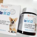 강아지 눈물자국 건강 고민에는 눈보감 보약먹는강아지 후기