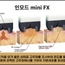 미엔느의원 이미지