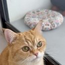 수달앤쥬 이미지