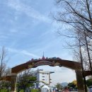 서울파크 | 아이랑 다녀온 렛츠런파크 서울 벚꽃축제 후기 (+자리 꿀팁)