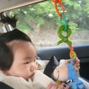 169_이틀만에 순한맛으로 돌아온 아기